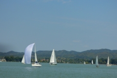 P1010230