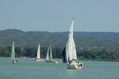 P1010231