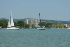 P1010239