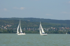 P1010350