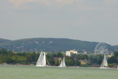 P1010383