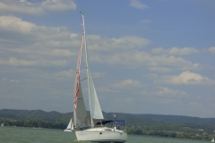 P1010384